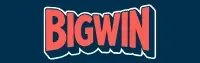 bigwin logo